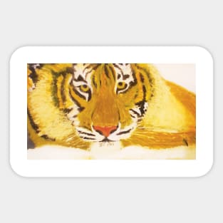 Tiger Sticker